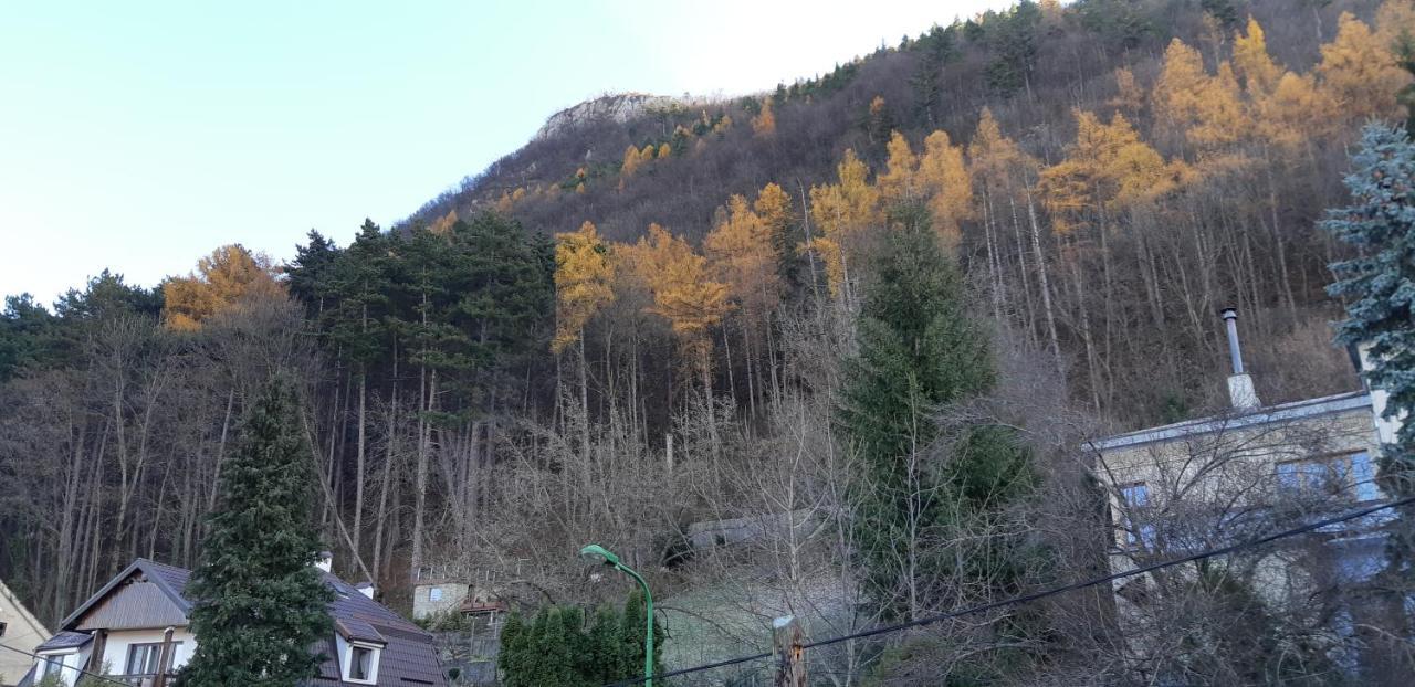 Brasov Valley Apartment Ngoại thất bức ảnh