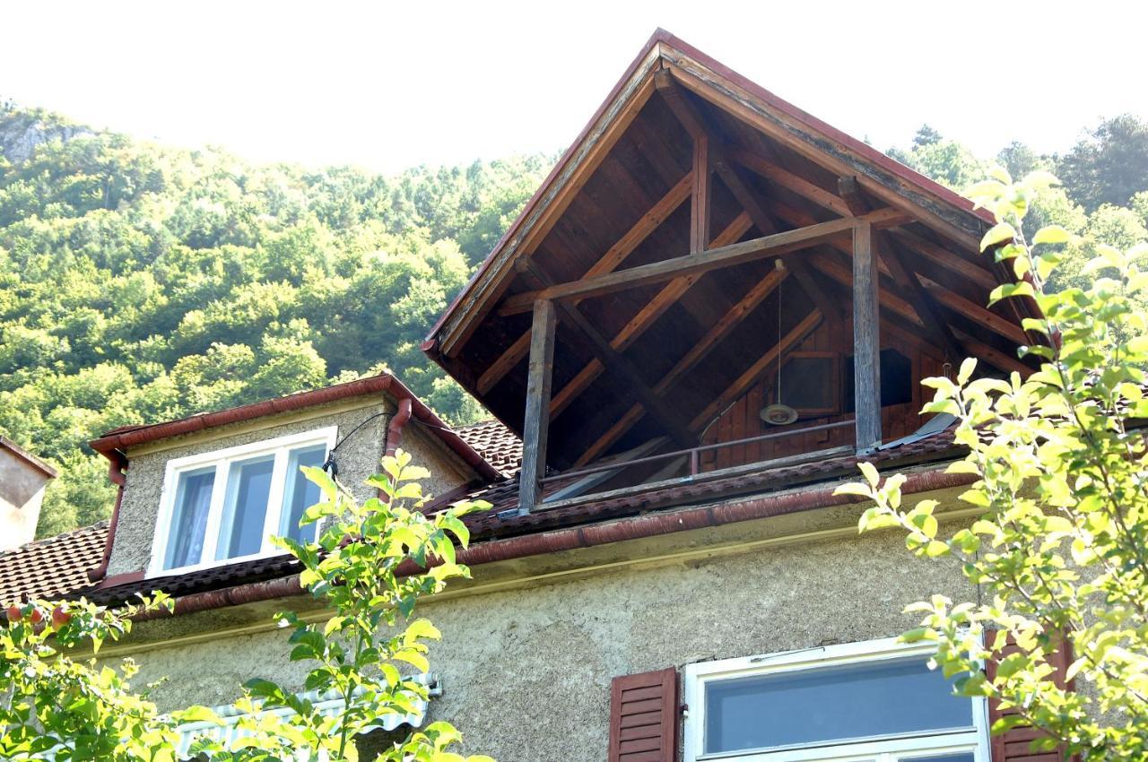 Brasov Valley Apartment Ngoại thất bức ảnh